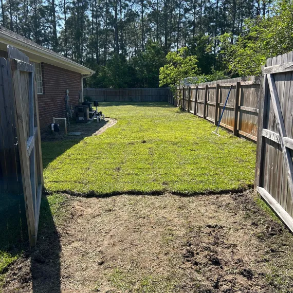 Home Sod Installation