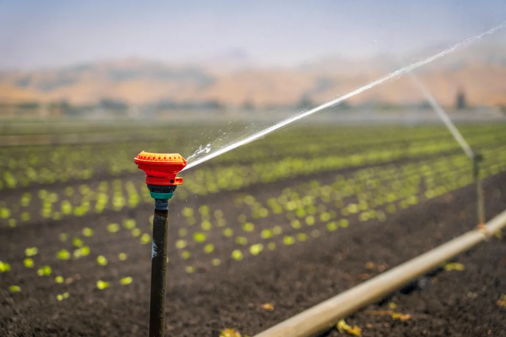 How To Winterize Irrigation System