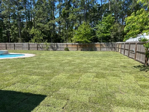 bells-lawn-care-llc-navarre-fl-2025-12-02T134934.025706Z-20422